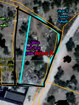 نمرة ارض للبيع قرب ملعب بيت وزن حدود اراضي بيت ايبا مساحة550 متر