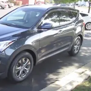 حجي وائل تركي 