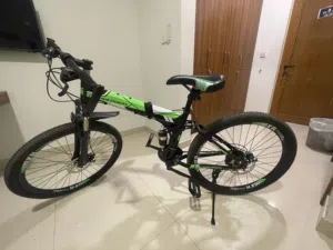 Bicycle Thunderbird-R