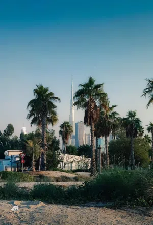 Saif 