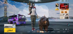 حساب ببجي للبيع