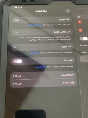 Apple iPad Pro 11 256 GB in Baghdad