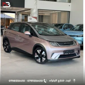 BYD -- DOLPHIN 20222