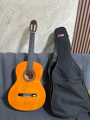 Guitars & Oud . New1