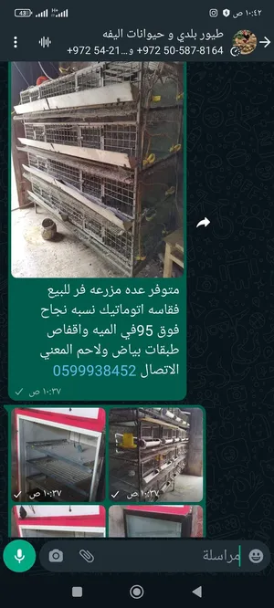 ‏إكسسوارات ‏.‏ طيور ودواجن‏2