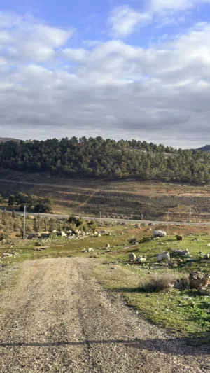Farm Land for Sale in Jerash Dahl