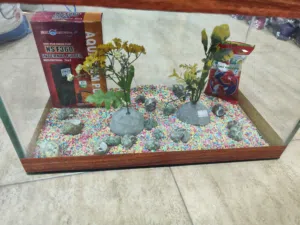 المقاسات في الوصف حوض سمك مجهز بالكامل!  جاهز للاستخدام فورًا – فقط أضف الأسماك التي تحبها!