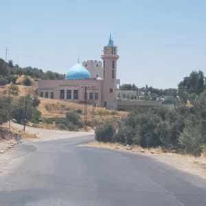 أرض في البيادر لبناء فيلا او مجمع فلل او مزرعة او مجمع سكن عائلي في غرب عمان