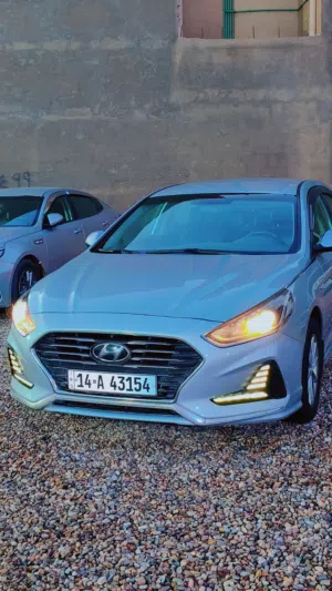 Used Hyundai Sonata in Basra