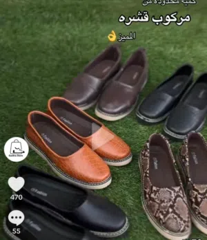 قشرة للاحزية