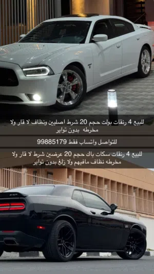 للبيع رنقات بولت - سكات باك