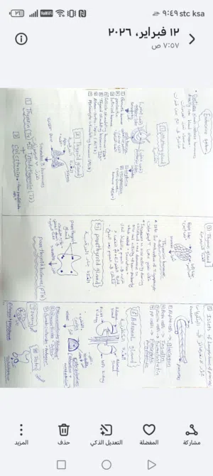دروس خصوصية في جميع المواد الطبية مع د. رقيه عبد الله – شرح مبسط ومراجعات قبل الاختبار