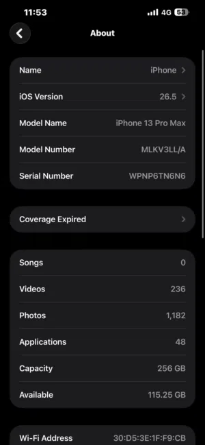 13 pro max