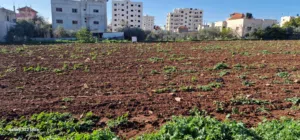ارض للبيع في منطقة الجابريات