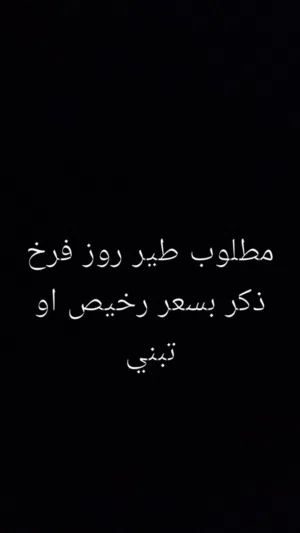 طير روز فرخ