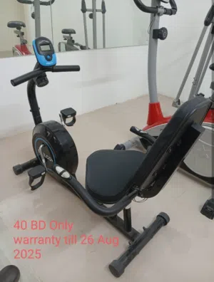 Assault Bike - New Condition