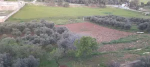 Residential Land for Sale in Amman Naour