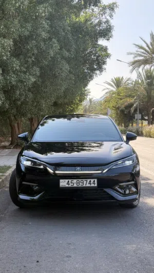 BYD SONG L 2024