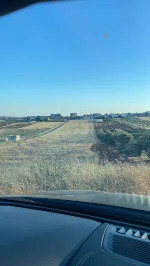 Farm Land for Sale in Mafraq Rhab