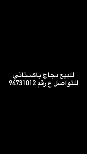 دجاج باكستاني