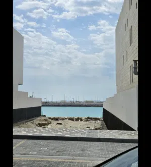 فيصل راشد 