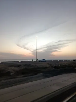محمد ميرغني الحاج 