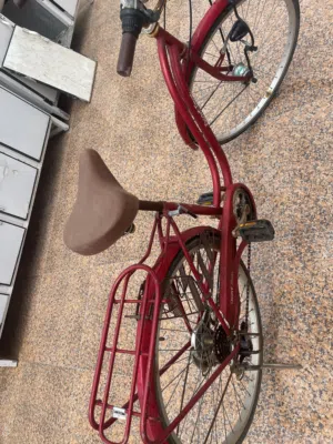بايسكل سياحي باله