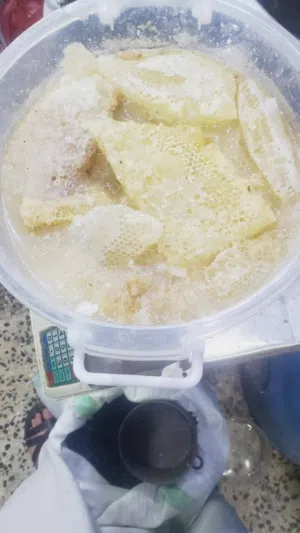 عسل بلدي صعدي