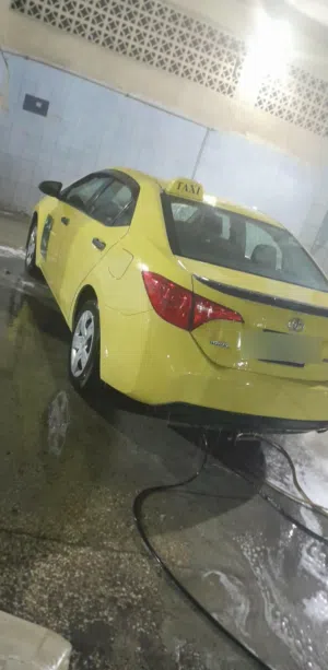 Used Toyota Corolla in Amman