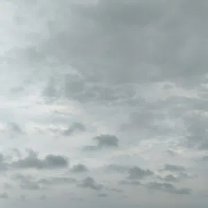 سالم 