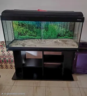 fish Aquarium
