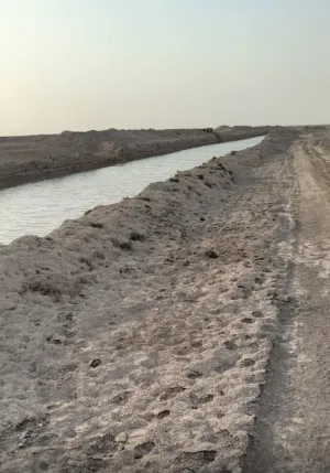 ارض زراعيه اقرا الوصف تم تخفيض السعر