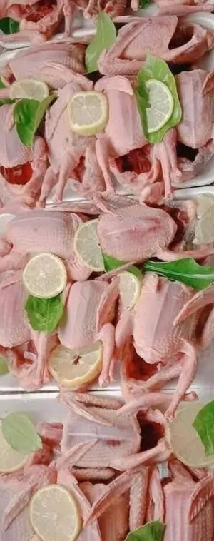 Meat2