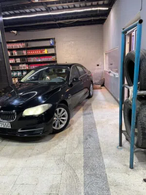 520i 2014bmw