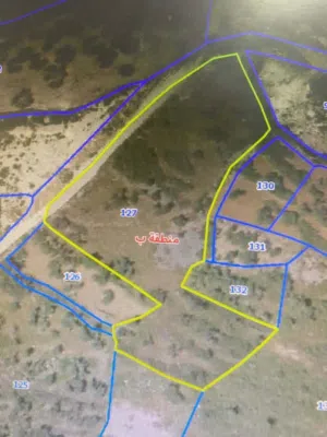 التواصل واتساب قطعتا ارض مربعتا الشكل للبيع