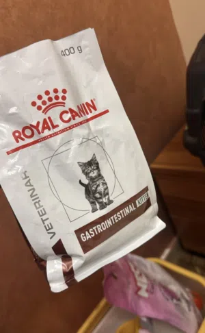 مستلزمات قطط للبيع
