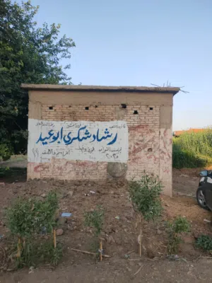 Farm Land for Sale in Qalubia Tookh