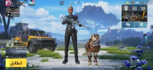 حساب ببجي للبيع