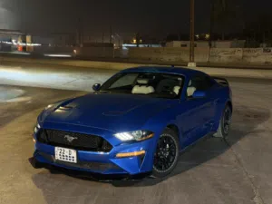 موستنك ايكو بوست