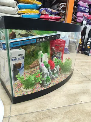 حوض سمك مجهز بالكامل جبنا لك غابات الامازون لعندك يا غالي