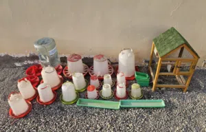 أغراض طيور للبيع