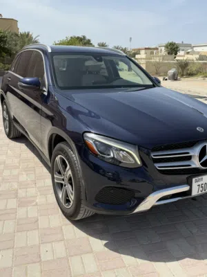 Mercedes-Benz GLC 300 2019 – وارد أمريكي صبغة الوكالة