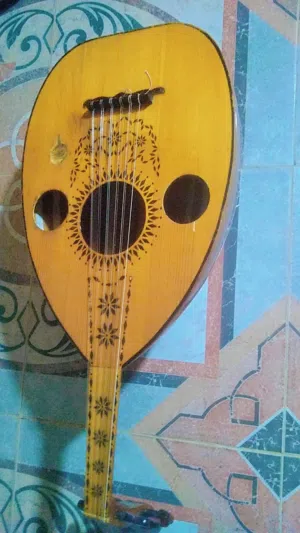 العود للبيع أمورة طيب وصوته جيد وقوي