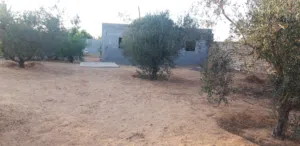 Residential Land for Sale in Tripoli Tajura