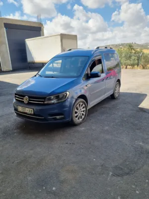 كادي ترخيص 2017 شصي قصير