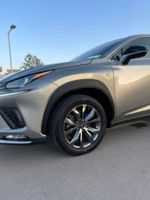 NX 300 sport