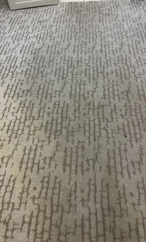 موكيت مميز بسعر مغري