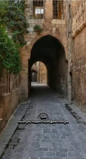 دار عربي أثري تاريخي أول لمشروع استثماري سياحي يصلح فندق أو مطعم
