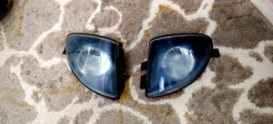 فلطوريات f10