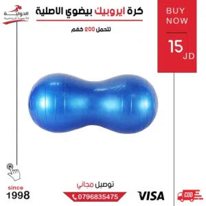 كرة إيروبيك بيضاوي بجودة عالية وتصميم متين، مثالية لتمارين التوازن وشد العضلات وتحسين اللياقة